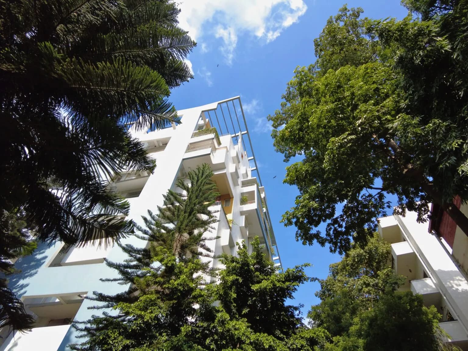 A white high-rise residential tower framed by tall trees against a blue Bangalore sky