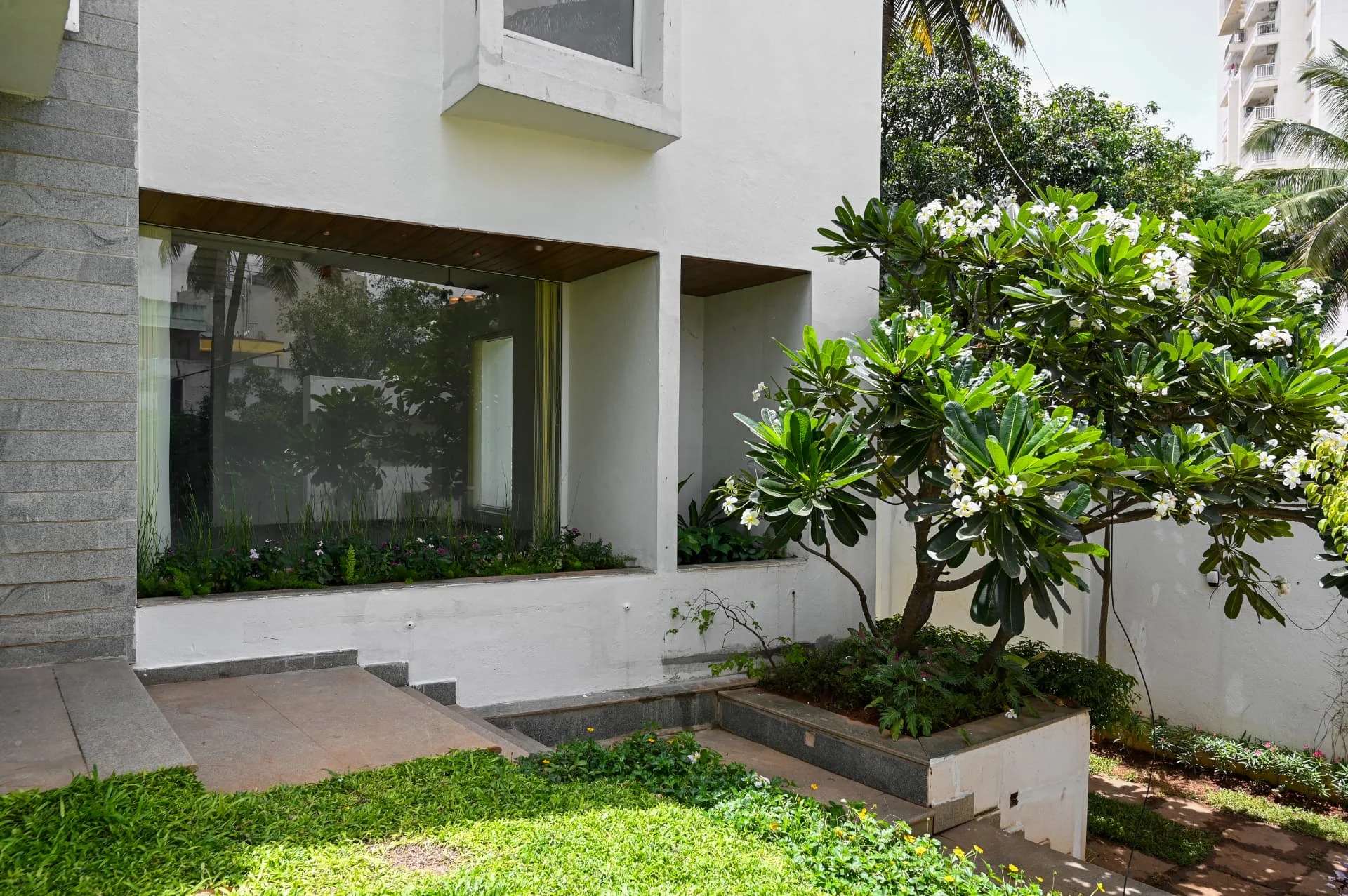Lawn-facing elevation with planters and frangipani tree, Prestige Laughing Waters luxury villa for rent, Whitefield, Bangalore